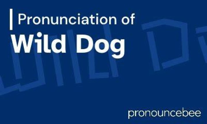 How to pronounce wild