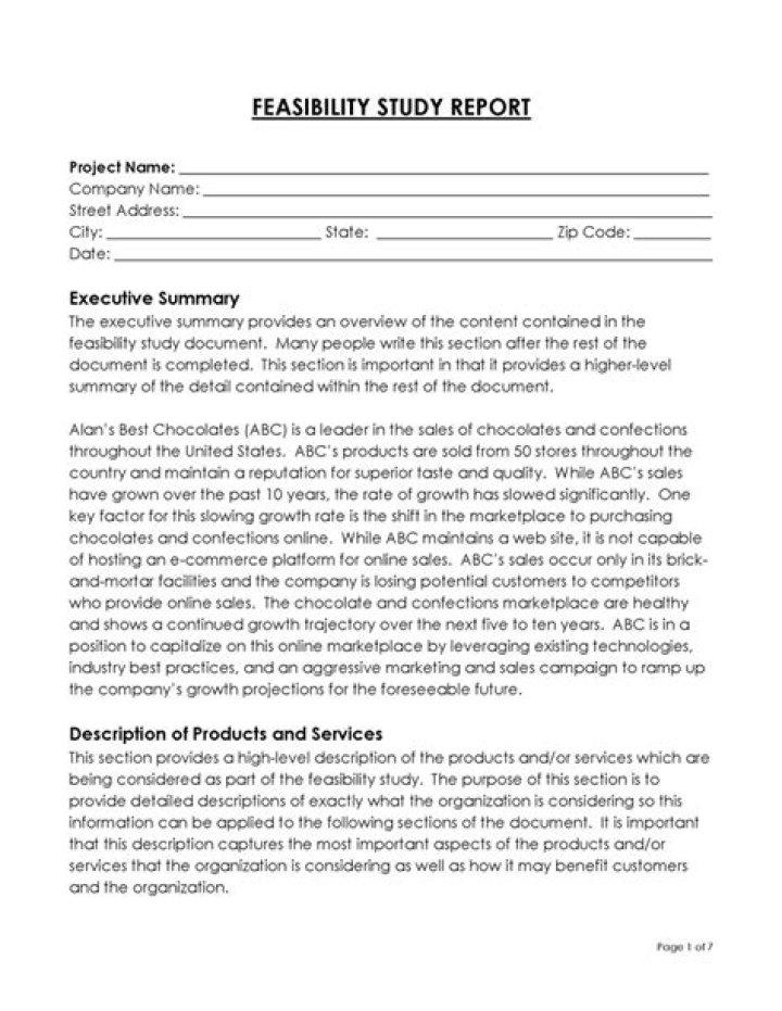 How to write a feasibility report sample